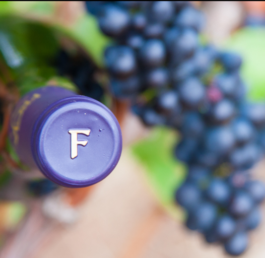 wine bottle in grapevine