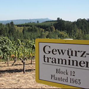 vineyard sign