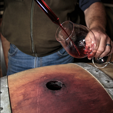 wine barrel thiefing