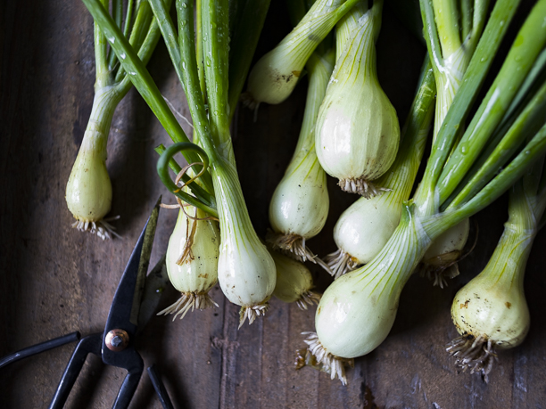 green onions